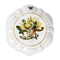 Aparelho De Jantar Valentina - 20 Peças